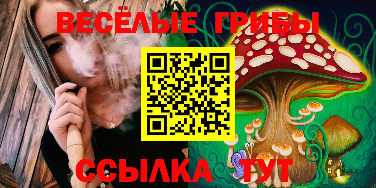 Псилоцибиновые грибы Psilocybe Железноводск