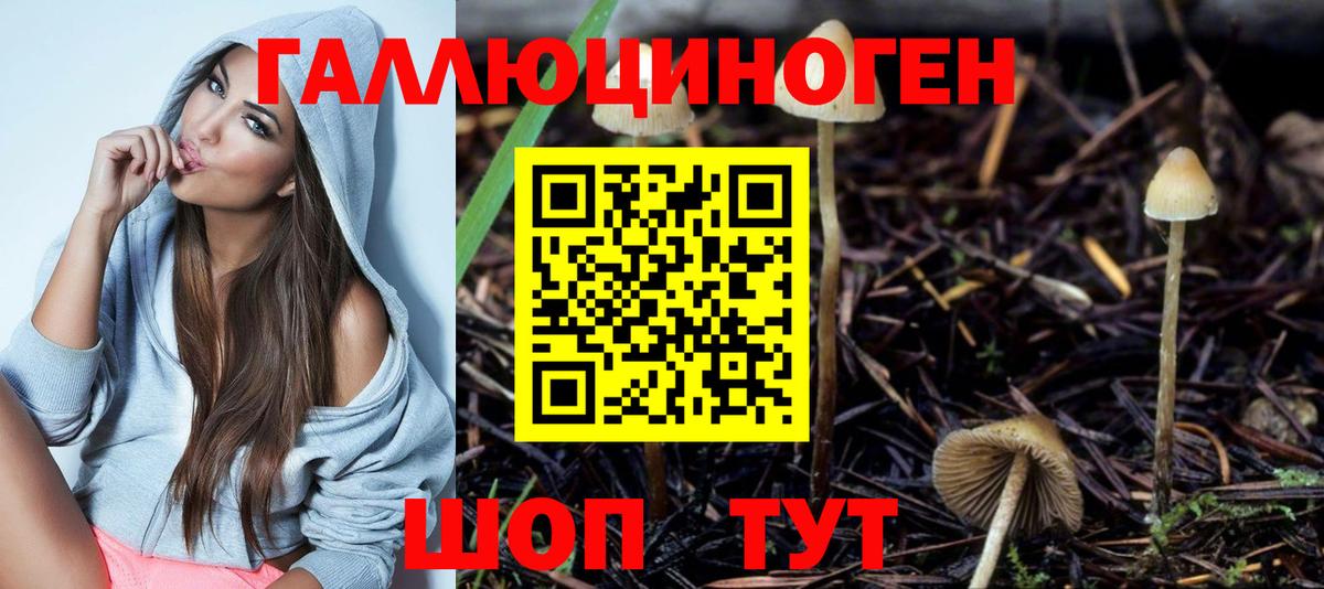 Галлюциногенные грибы мухоморы  Вход с VPN  Железноводск 
